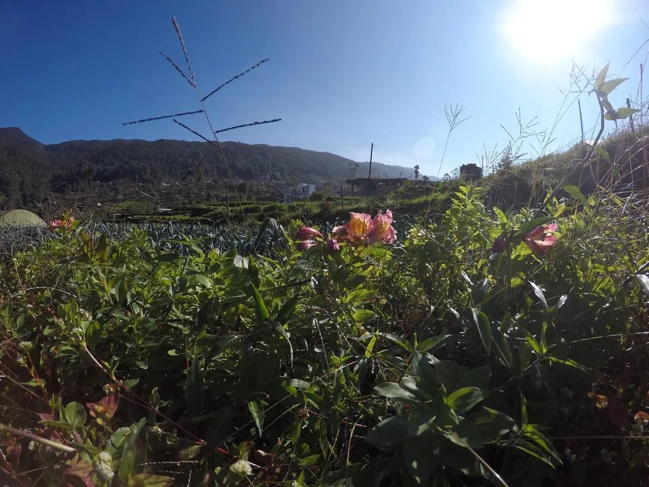 Shannon Rise Holiday Home Nuwara Eliya Bed & Breakfast