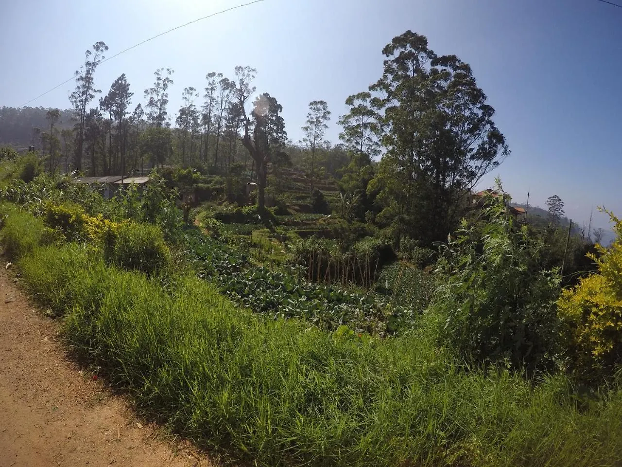 Shannon Rise Holiday Home Nuwara Eliya Bed & Breakfast