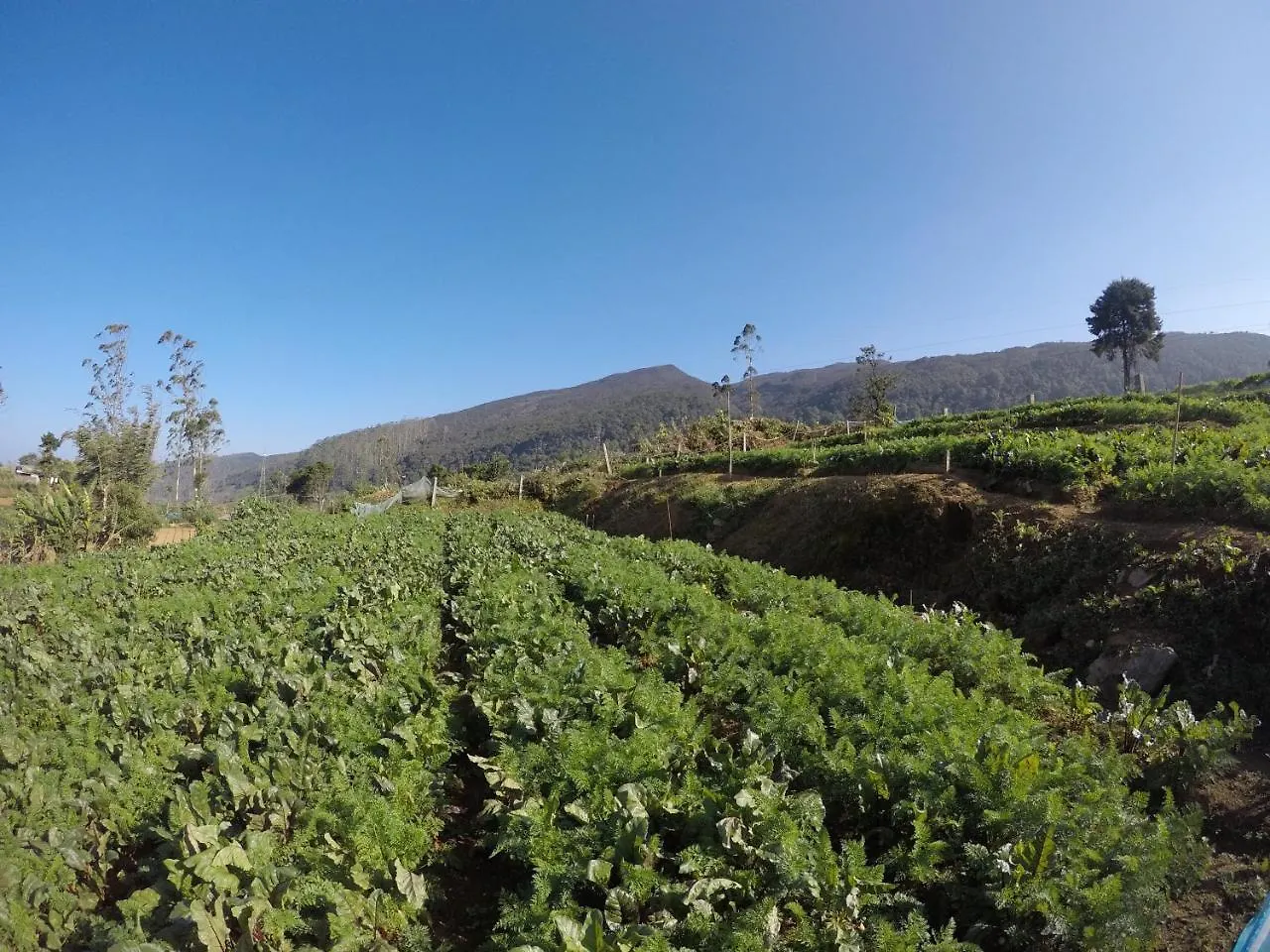 Shannon Rise Holiday Home Nuwara Eliya