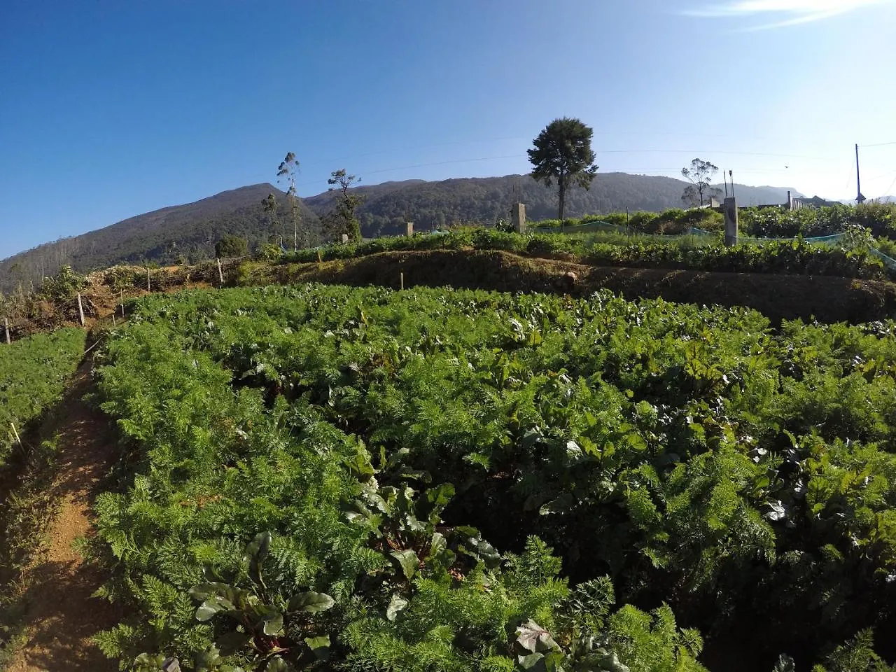 Bed & Breakfast Shannon Rise Holiday Home Nuwara Eliya