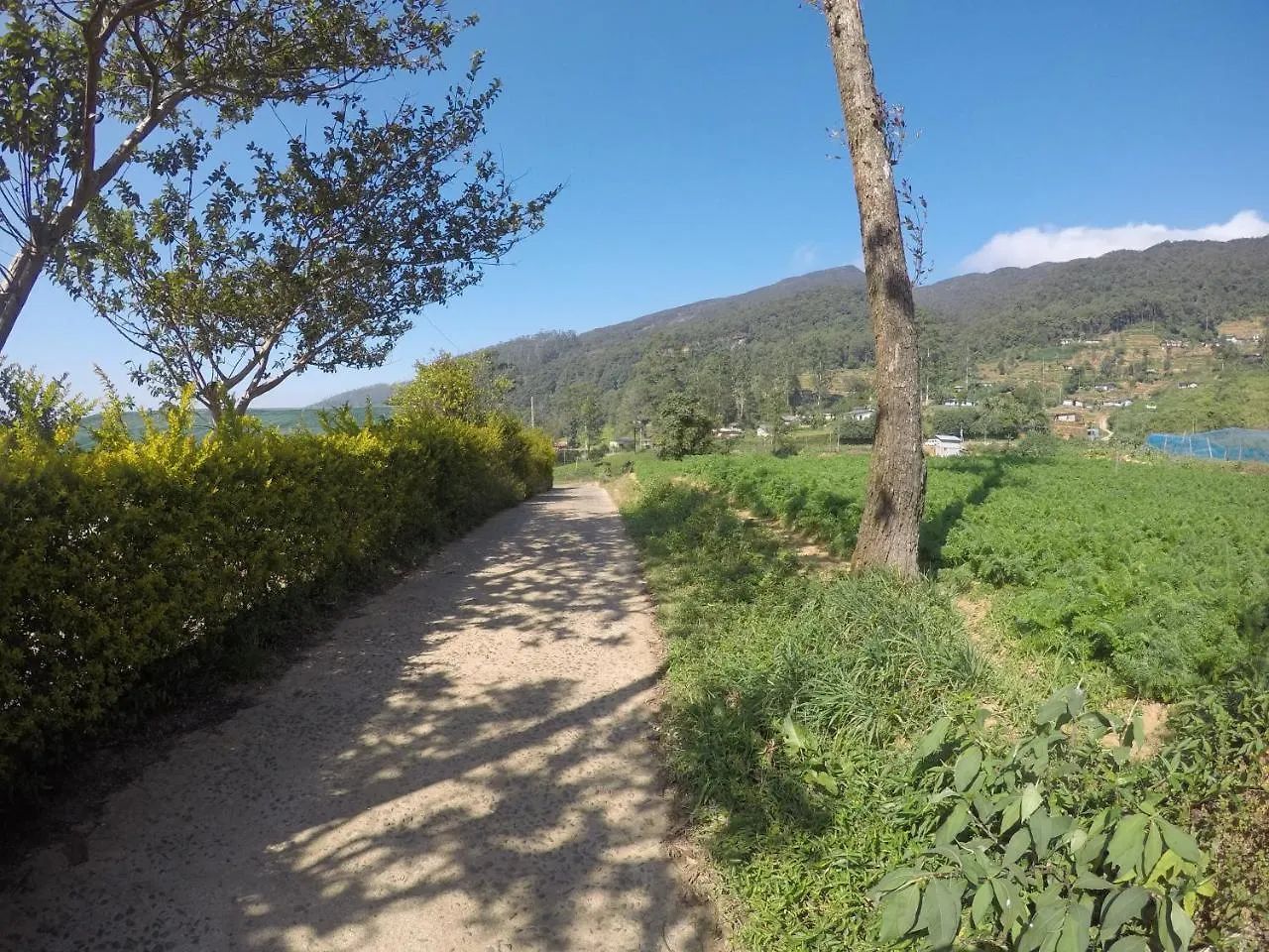 Shannon Rise Holiday Home Nuwara Eliya 3*,